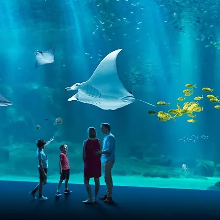 Les Cerfs Volants - Dunes Du Golf - Maison 7 Pers - Holiday home *